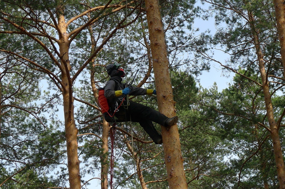 лечение и защита 