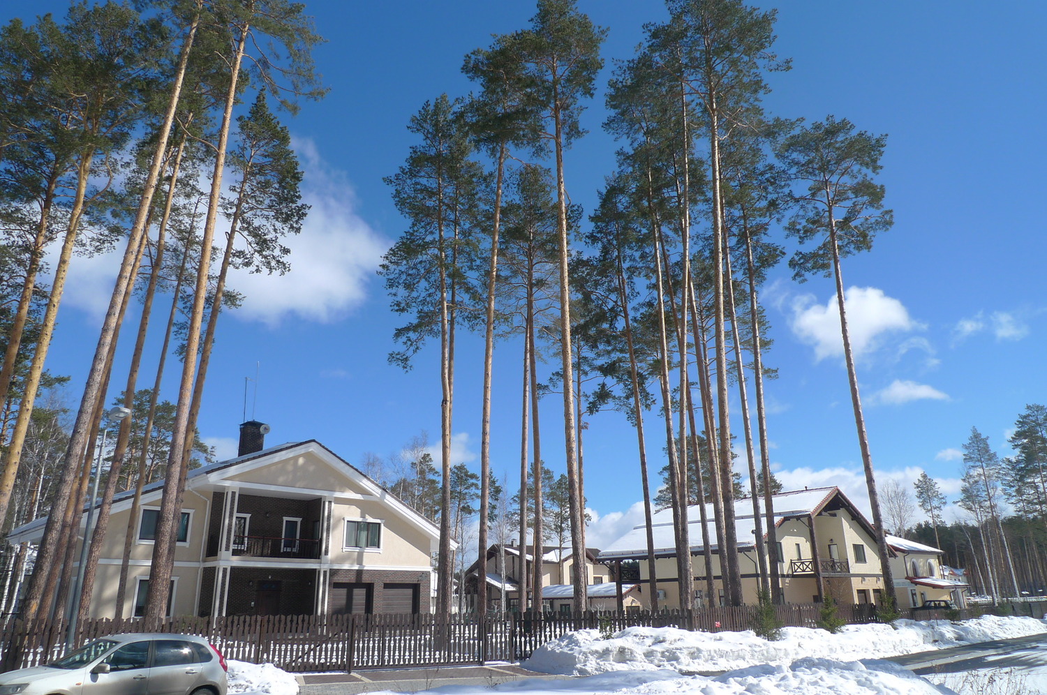 Обрезка деревьев