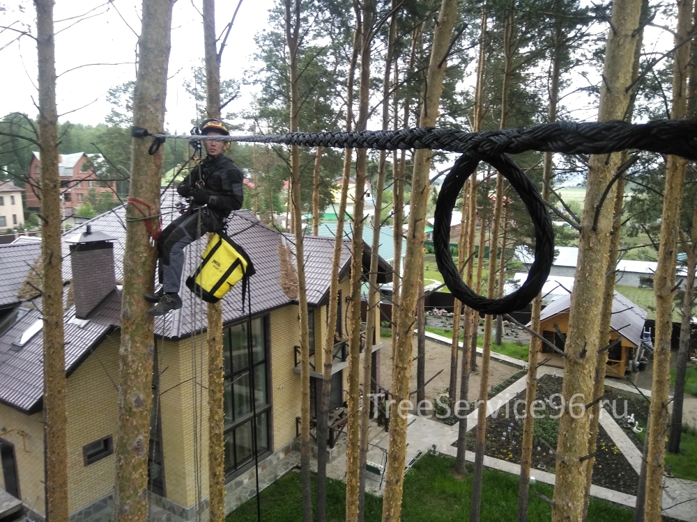 Укрепление деревьев 